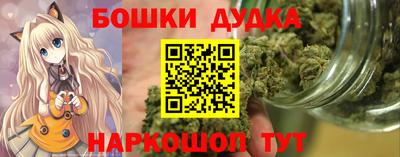 Альфа ПВП Сланцы