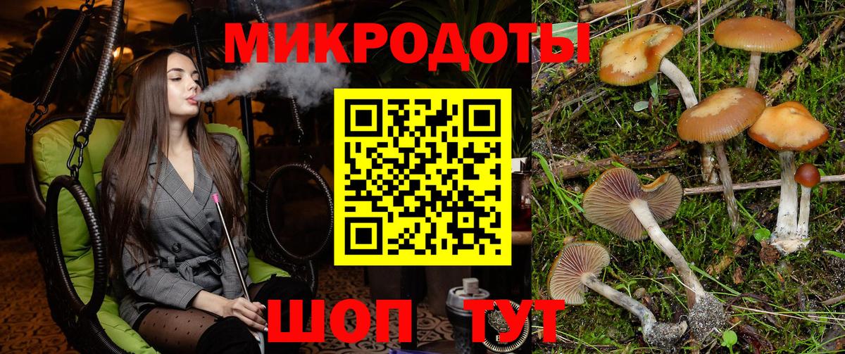 Галлюциногенные грибы мицелий  купить  цена  Ливны  Вход с VPN 